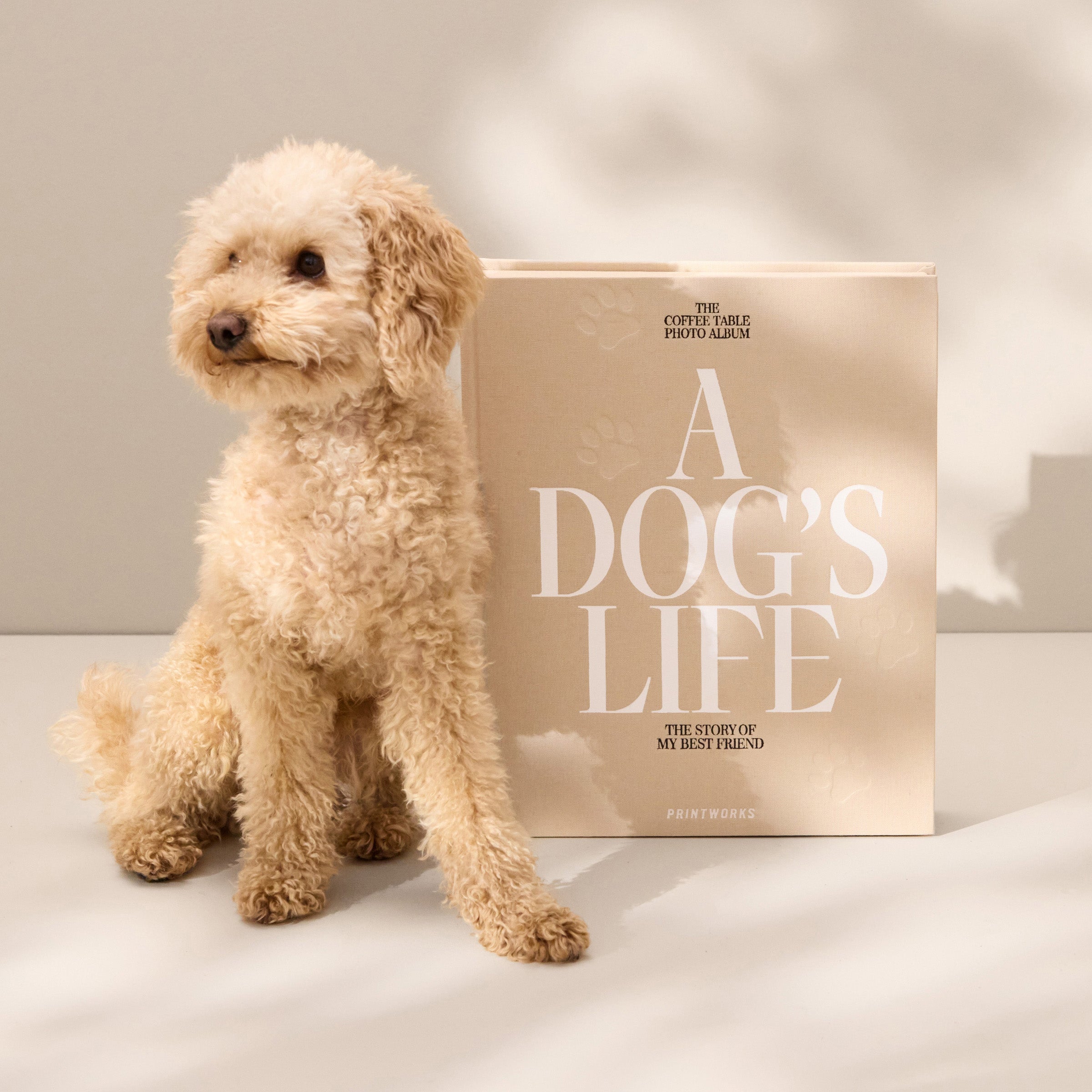 Lenox Premium A Dog???s Life Photo Album - Image 3