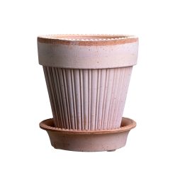 Lenox Premium Simona Raw Rosa 16cm Pot with Saucer