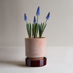 Alternative view of Lenox Premium Hoff Raw Rosa & Glazed Deep Burgundy 14cm Pot with Saucer