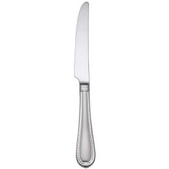 Lenox Premium Berkshire Matte Dinner Knife