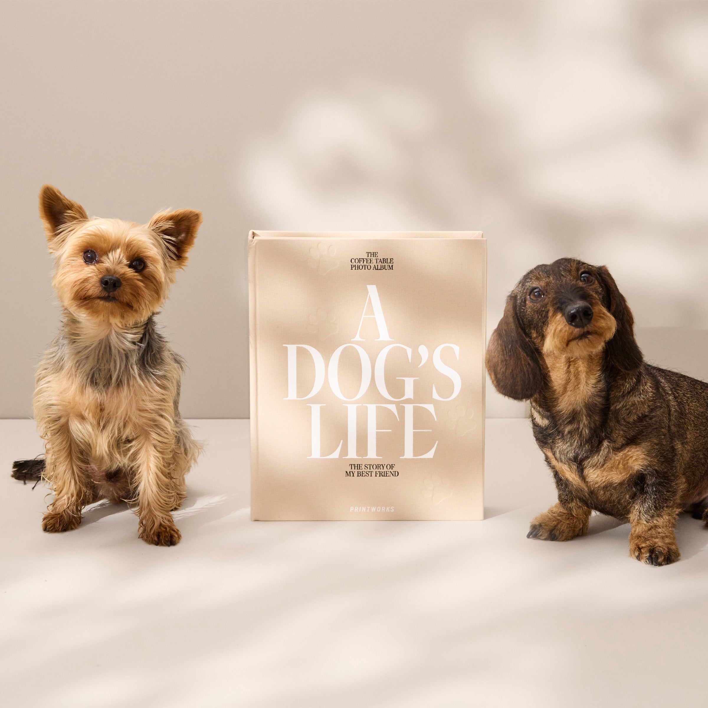 Lenox Premium A Dog???s Life Photo Album - Image 4