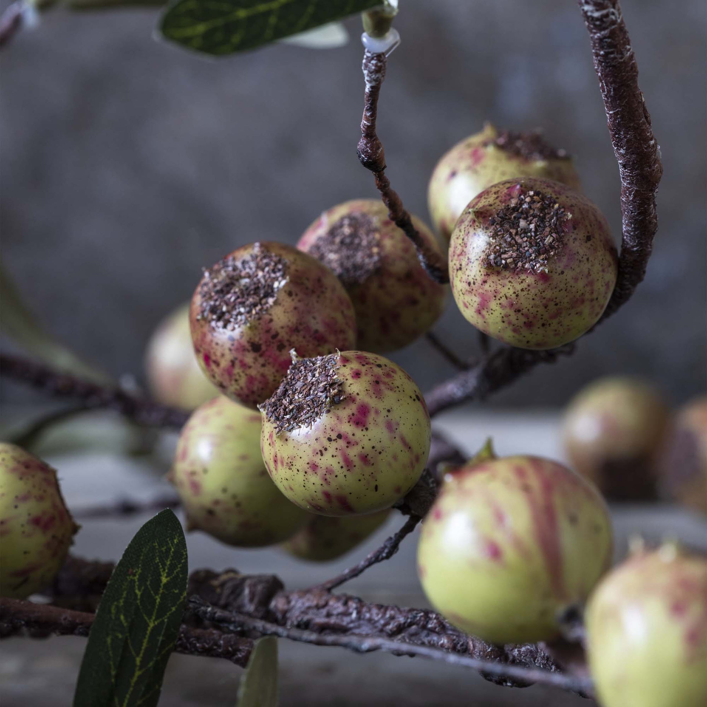 Lenox Premium Artificial Rosehip Stem, Dappled - Image 3