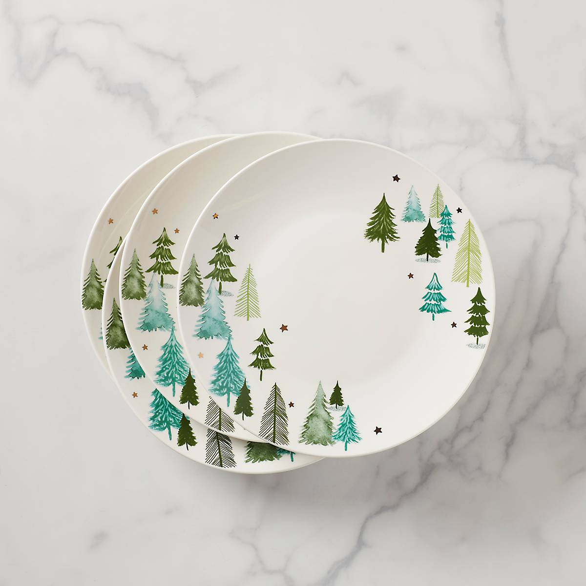 Lenox Premium Balsam Lane Dinner Plates, Set of 4 - Image 4
