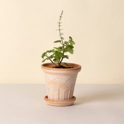 Alternative view of Lenox Premium Fleur Raw Rosa 14cm Pot with Saucer