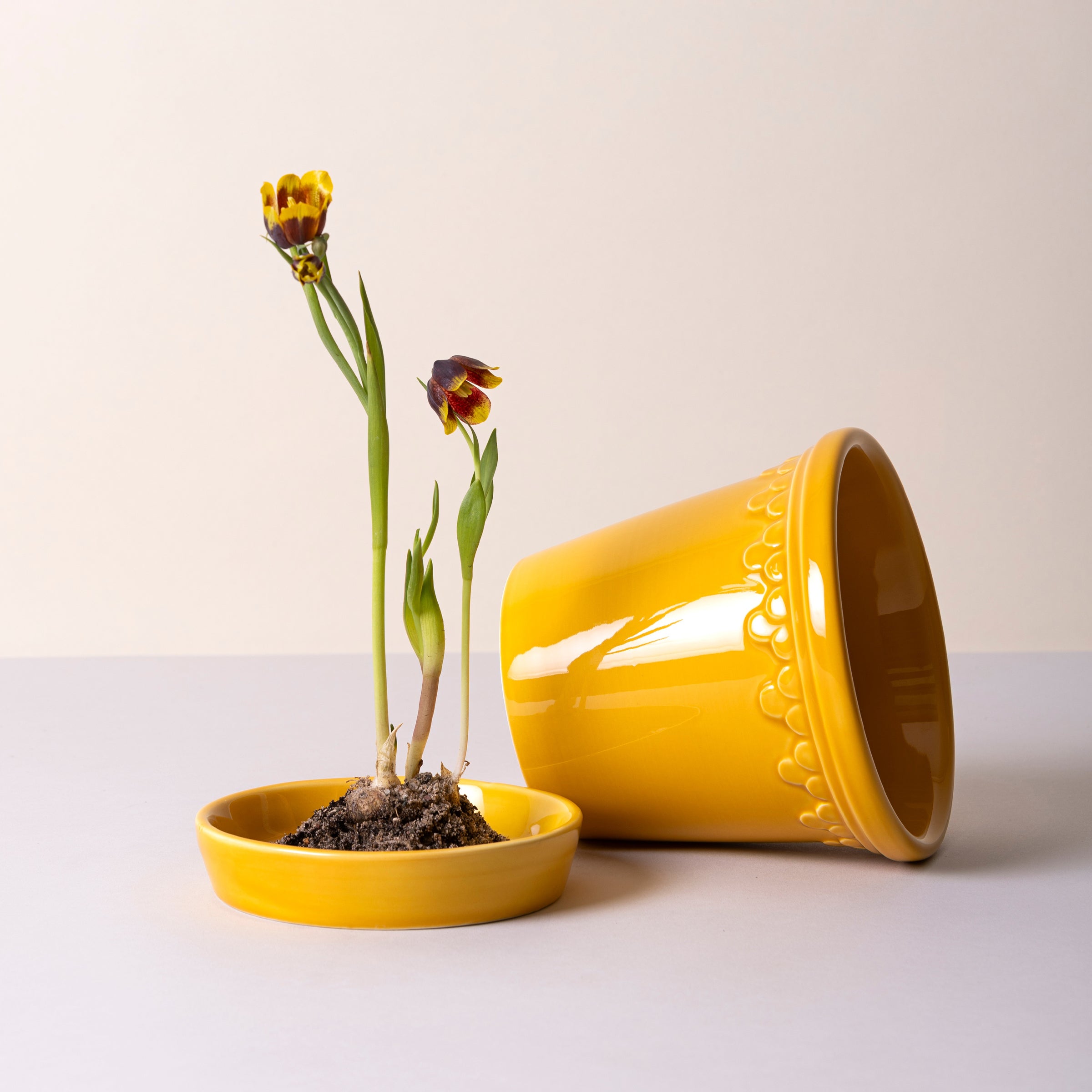 Lenox Premium Kobenhavner Glazed Amber Yellow 16cm Pot with Saucer - Image 3
