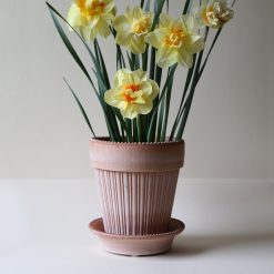 Alternative view of Lenox Premium Simona Raw Rosa 16cm Pot with Saucer